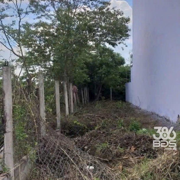 Bán đất thổ cư hẻm xã Phước Lý, Cần Giuộc dt 120m2 giá 1,6 tỷ-2