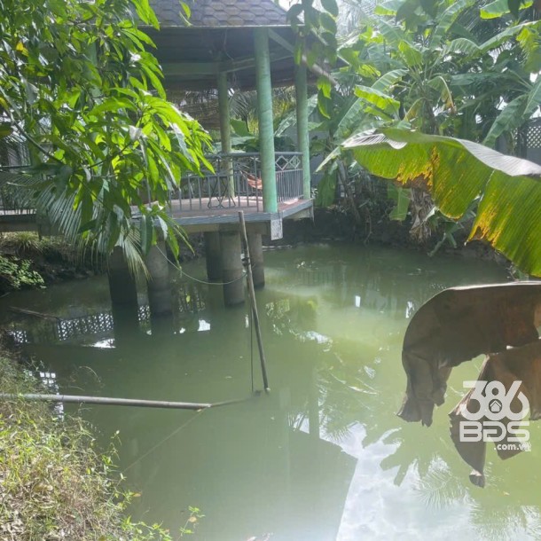 Bán nhà vườn xã Long Cang , Cần Đước tdt hơn 1200m2 đất + vườn gía 3,95 tỷ-2