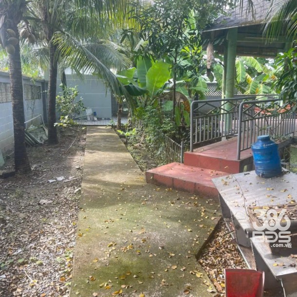 Bán nhà vườn xã Long Cang , Cần Đước tdt hơn 1200m2 đất + vườn gía 3,95 tỷ-3