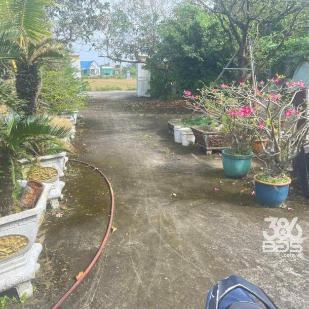 Bán nhà vườn xã Long Cang , Cần Đước tdt hơn 1200m2 đất + vườn gía 3,95 tỷ-13