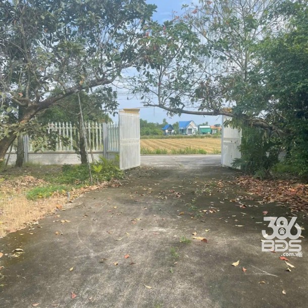 Bán nhà vườn xã Long Cang , Cần Đước tdt hơn 1200m2 đất + vườn gía 3,95 tỷ-14