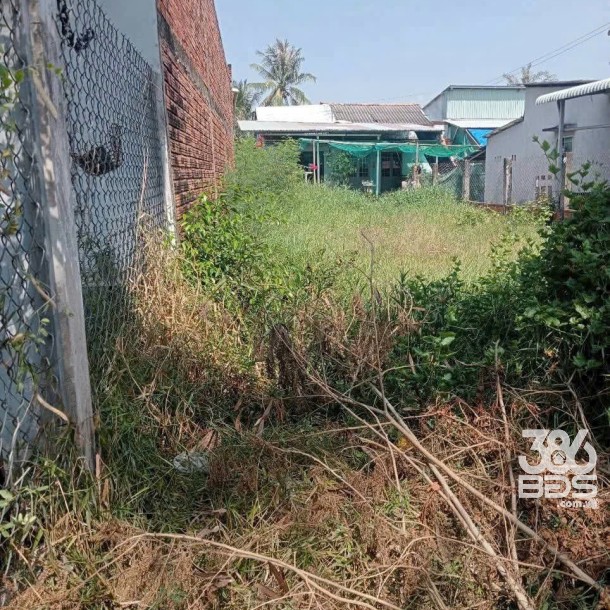 Bán đất hẻm xe máy xã Phước Vân , Cần Đước dt 172m2 ( có 45m2 thổ) giá 690 triệu-3