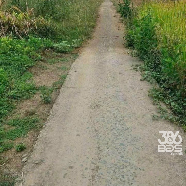 Bán đất hẻm xe máy xã Phước Vân , Cần Đước dt 172m2 ( có 45m2 thổ) giá 690 triệu-4