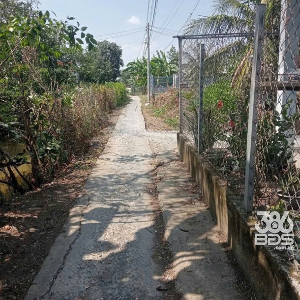 Bán đất hẻm xe máy xã Phước Vân , Cần Đước dt 172m2 ( có 45m2 thổ) giá 690 triệu-5