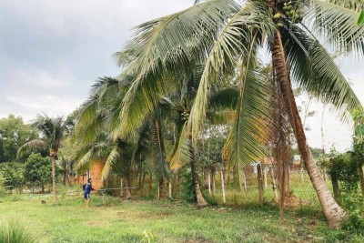 Bán đất mặt tiền Hà Thị Kiểm , xã Phú Mỹ Hưng tdt 1711m2 ( có 500m2 thổ) giá 6,5 tỷ