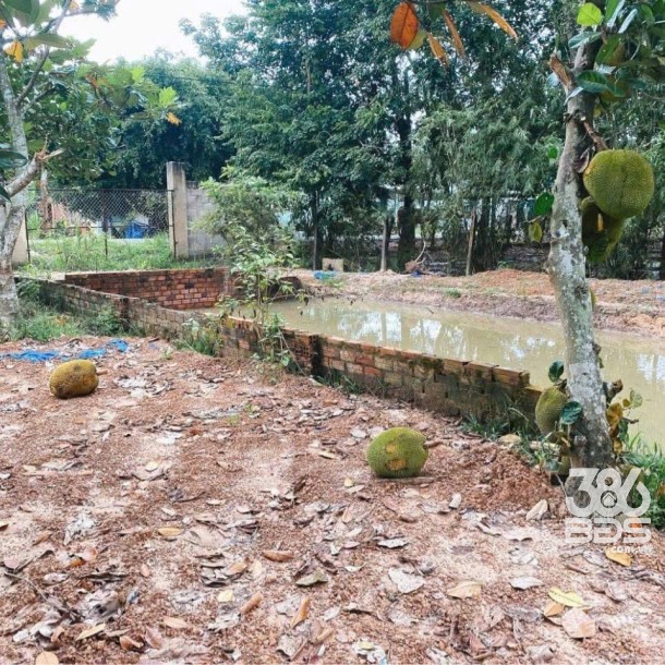 Bán đất mặt tiền Hà Thị Kiểm , xã Phú Mỹ Hưng tdt 1711m2 ( có 500m2 thổ) giá 6,5 tỷ-3