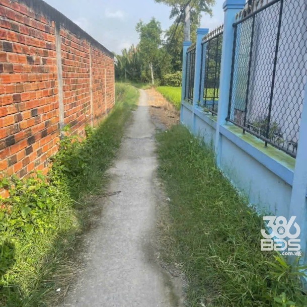 Bán 1000m2 đất lúa khu vực chuyển thổ , thích hợp phân lô xã Phước Tuy, Cần Đước giá chốt 1,3 tỷ-5