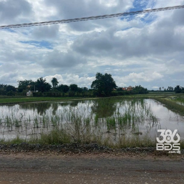 Bán đất thổ cư mặt tiền đường Gò Sao , xã Tân Phú dt 300m2 giá 1,3 tỷ-2