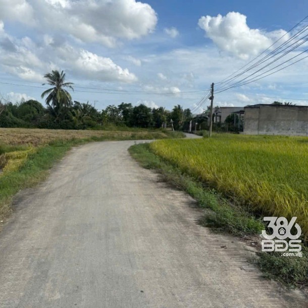 Bán đất thổ + lúa xã Mỹ Yên, Bến Lức tdt 200m2 ( có 720m2 thổ cư ) giá 7 tỷ-2