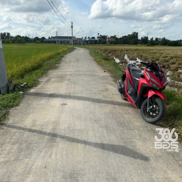 Bán đất thổ + lúa xã Mỹ Yên, Bến Lức tdt 200m2 ( có 720m2 thổ cư ) giá 7 tỷ-6