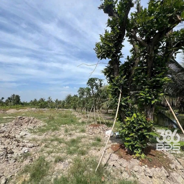 Bán đất thổ cư , đường beton xe 7 chổ , xã Nhựt Chánh , Bến Lức dt 1068m2 giá 3 tỷ-6