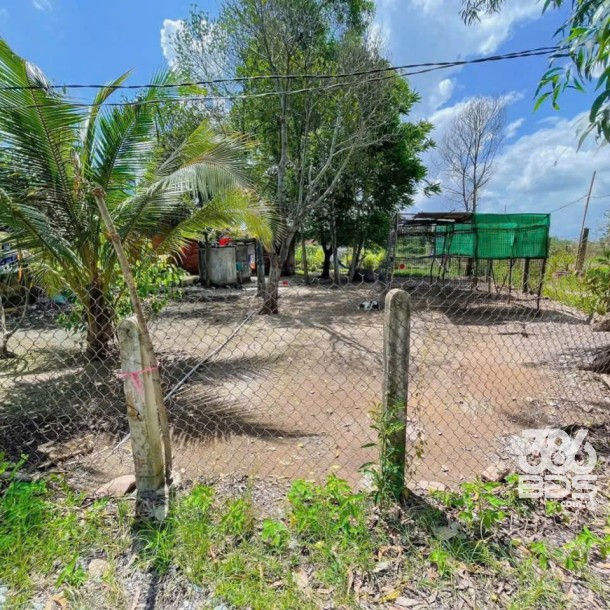 Bán nhà vườn mái thái xã Thanh Phú, Bến Lức tdt 1000m2 ( có 300m2 thổ cư ) giá giảm còn 5,3 tỷ-10