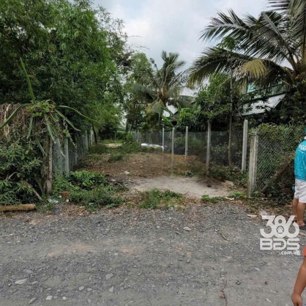 Bán đất thổ cư thị trấn Hậu Nghĩa , Đức Hòa cách tl 825 550m , dt 232,8m2 giá 1,55 tỷ-1