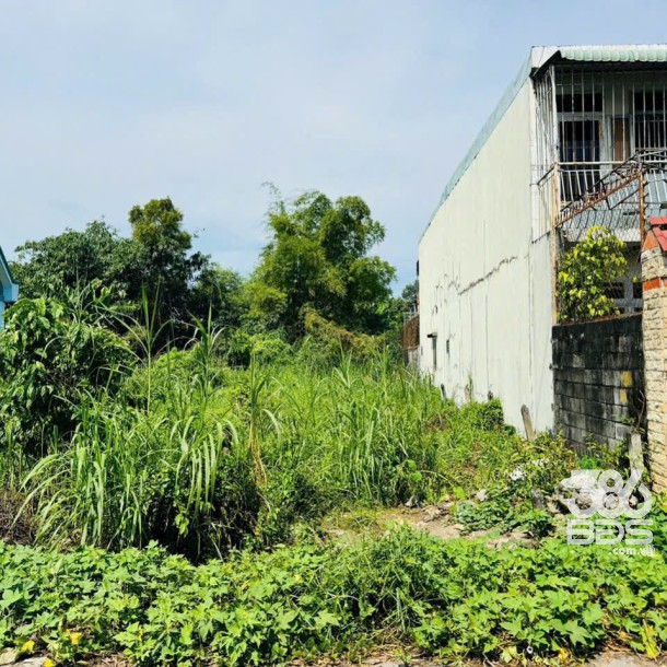 Bán đất mặt tiền đường nhựa xã Tân Thạnh Đông, Củ Chi dt 227m2 có 100m2 thổ giá 2,7 tỷ-4