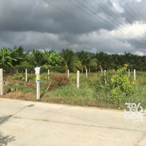 Bán đất thổ cư xã Nhựt Chánh , Bến Lức dt 224m2 , đường beton 3,5m oto giá 1,55 tỷ-3