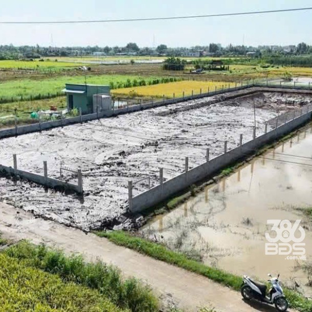 Bán đất xã Lạc Tấn , Tân Trụ tdt 1960m2 ( có 200m2 thổ) đường beton, có tường rào giá 2,2 tỷ-3