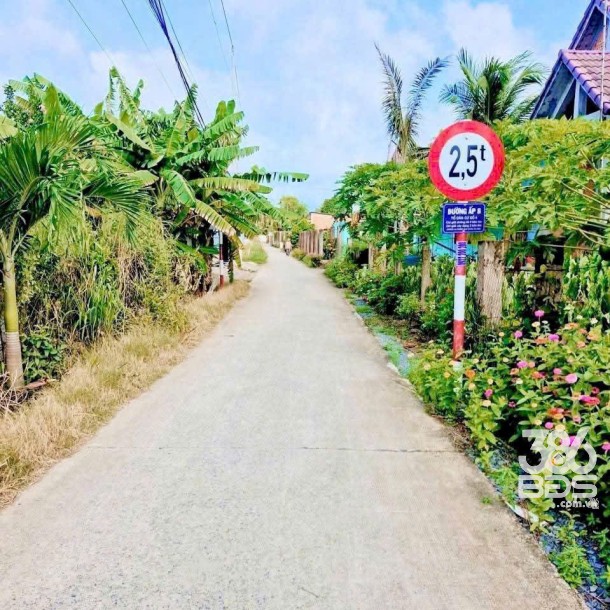 Bán 2 lô đất thổ cư ấp 8, xã Nhựt Chánh, Bến Lức dt 125,8m2 ( 500 triệu ) + 134,2m2 ( 550 triệu)-3