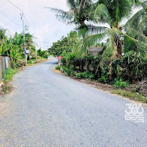 Bán 2 lô đất thổ cư ấp 8, xã Nhựt Chánh, Bến Lức dt 125,8m2 ( 500 triệu ) + 134,2m2 ( 550 triệu)-7