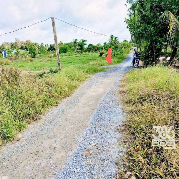 Bán 2 lô đất thổ cư ấp 8, xã Nhựt Chánh, Bến Lức dt 125,8m2 ( 500 triệu ) + 134,2m2 ( 550 triệu)-8