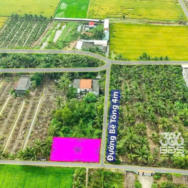 Bán lô đất thổ cư đường beton 4m xã An Thạnh , Bến Lức tdt 302m2 giá  2,3 tỷ-4