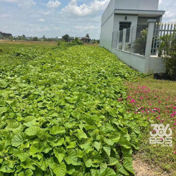 Bán nền thổ cư mặt tiền  tỉnh lộ 833B , xã Lạc Tấn, Tân Trụ dt 200m2 giá 1,7 tỷ-4