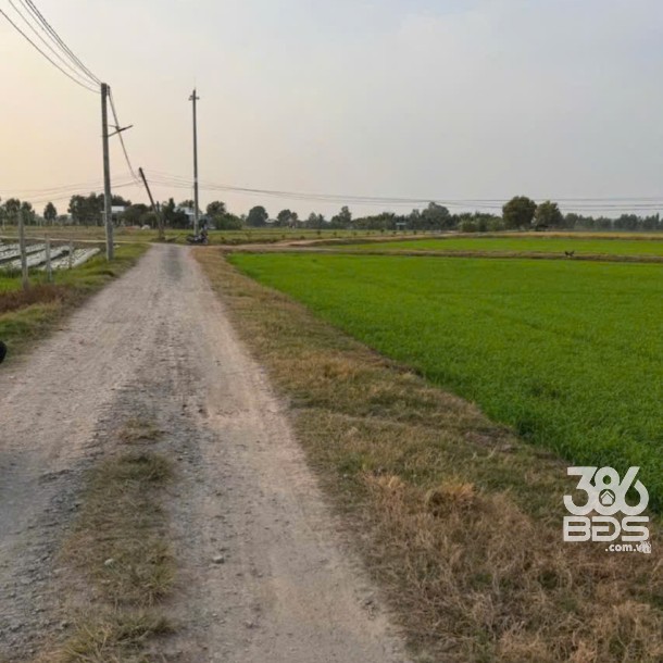 Bán đất thổ cư đường đá xanh ở xã Bình Hòa Bắc , Đức Huệ dt 800m2 giá 1,35 tỷ-2