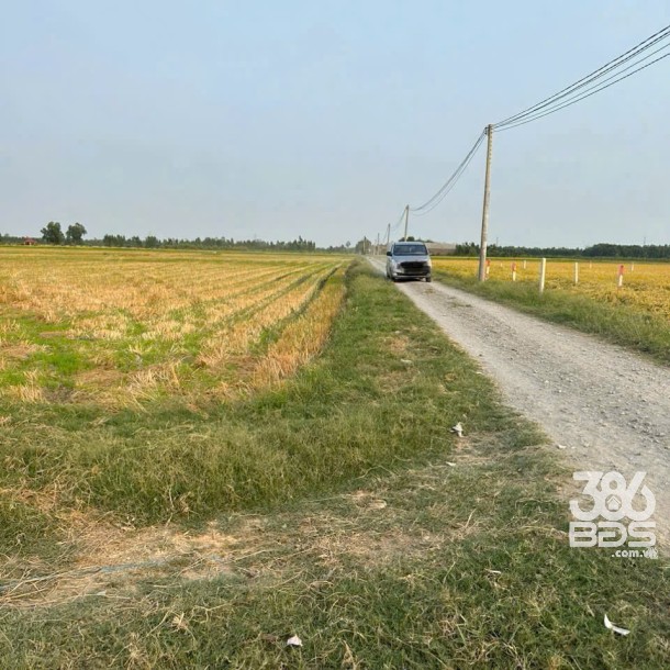 Bán đất thổ cư đường đá xanh ở xã Bình Hòa Bắc , Đức Huệ dt 800m2 giá 1,35 tỷ-3