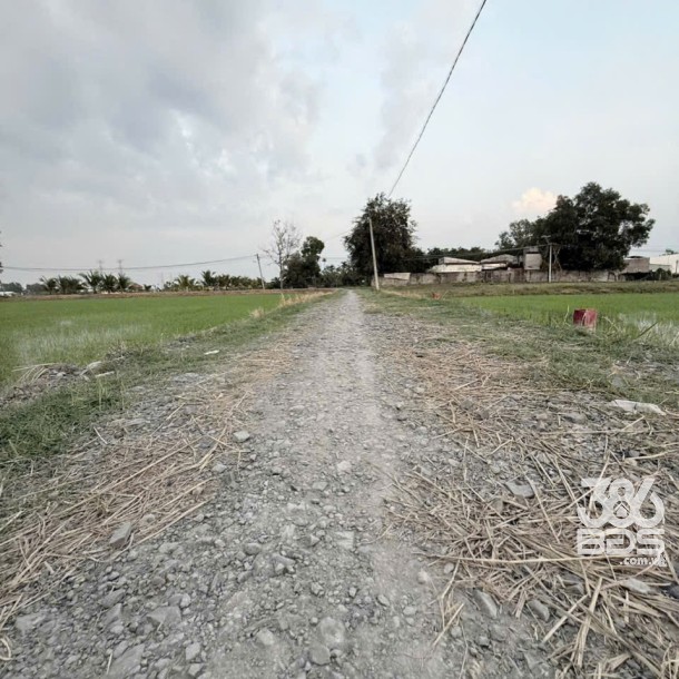 Bán đất thổ cư xã Hòa Khánh Đông , Đức Hòa dt 250m2 giá 1 tỷ 268 triệu-1