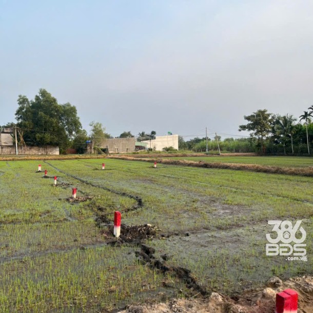 Bán đất thổ cư xã Hòa Khánh Đông , Đức Hòa dt 250m2 giá 1 tỷ 268 triệu-2