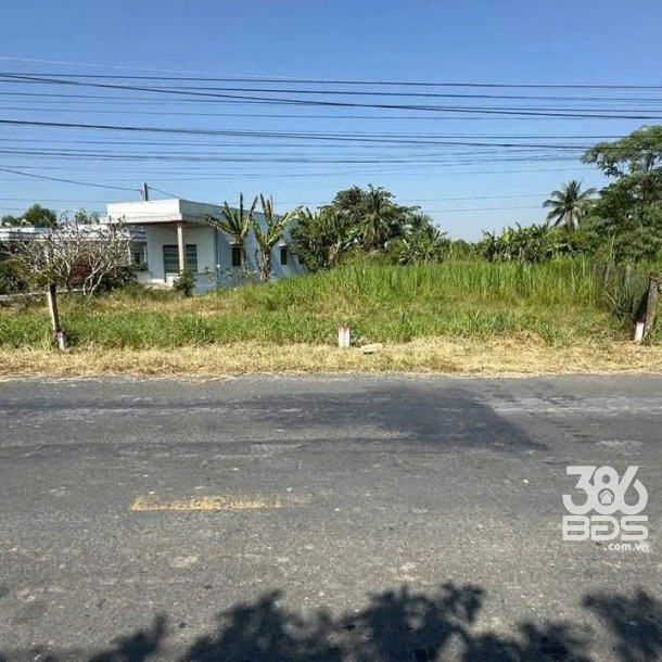 Bán 2 nền thổ cư mt đường Cao Thị Mai , xã Bình Trinh Đông , Tân Trụ ,giá 1,55 tỷ / nền-1