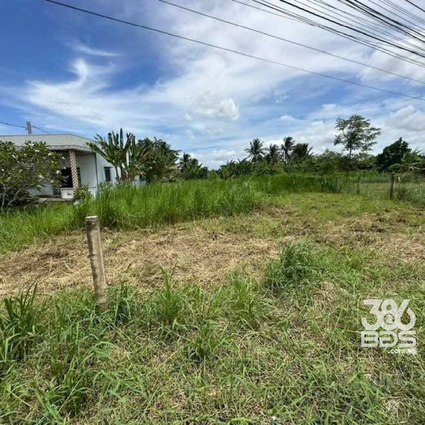 Bán 2 nền thổ cư mt đường Cao Thị Mai , xã Bình Trinh Đông , Tân Trụ ,giá 1,55 tỷ / nền-2