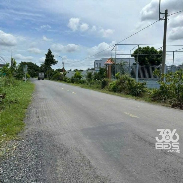 Bán 2 nền thổ cư mt đường Cao Thị Mai , xã Bình Trinh Đông , Tân Trụ ,giá 1,55 tỷ / nền-3