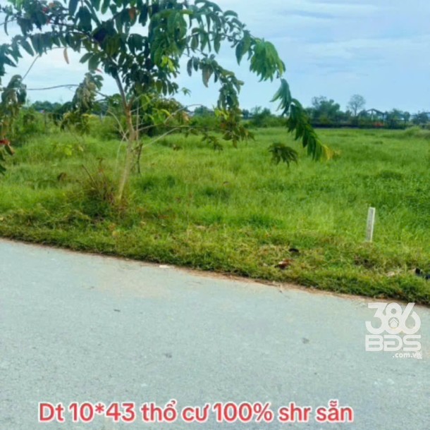 Bán đất thổ cư mt đường Xóm Gò , xã Đức Lập Hạ dt 430m2 giá 2,8 tỷ-4