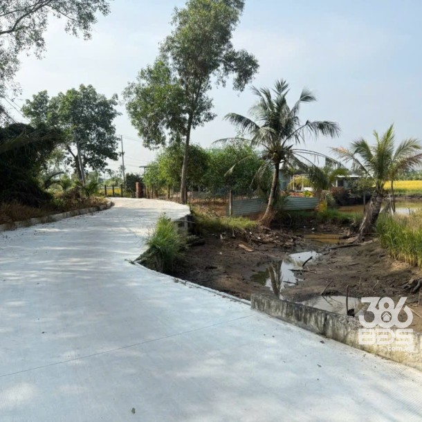 Bán đất vườn xã Tân Bửu , Bến Lức , Long An dt 5000m2 giá 16,5 tỷ-1