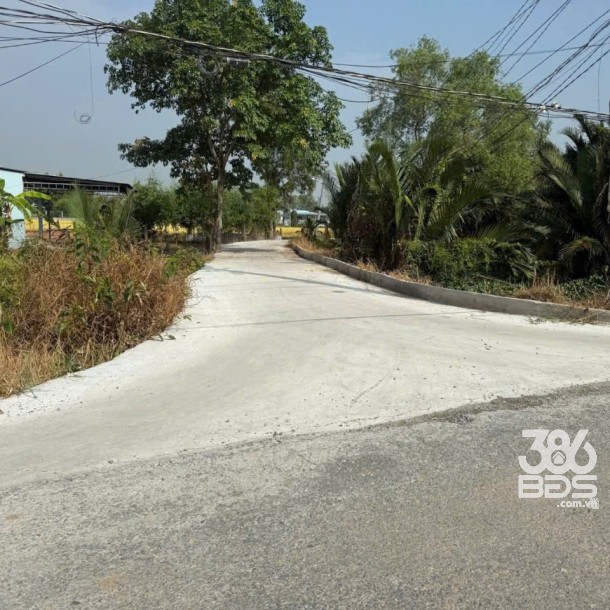 Bán đất vườn xã Tân Bửu , Bến Lức , Long An dt 5000m2 giá 16,5 tỷ-3