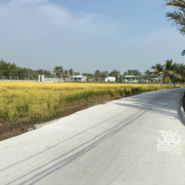 Bán đất vườn xã Tân Bửu , Bến Lức , Long An dt 5000m2 giá 16,5 tỷ-4