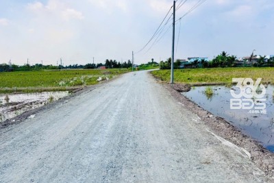 Bán đất thổ cư mt đường beton Trần Văn Lợi , xã Bình Trinh Đông , Tân Trụ dt 150m2 giá 590 triệu