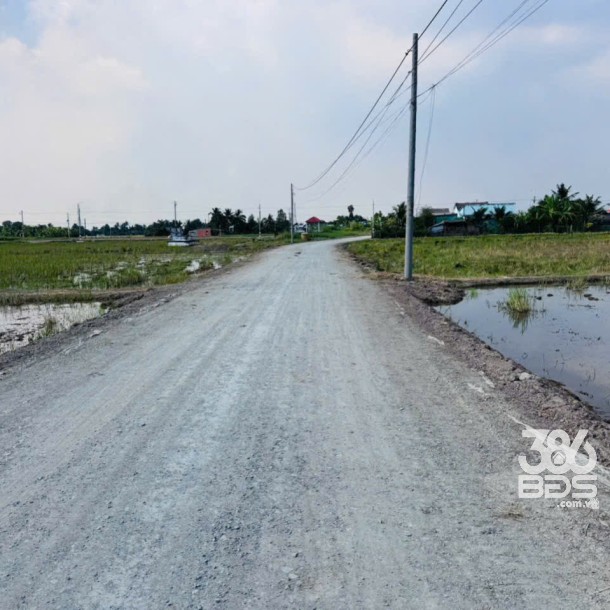 Bán đất thổ cư mt đường beton Trần Văn Lợi , xã Bình Trinh Đông , Tân Trụ dt 150m2 giá 590 triệu-4