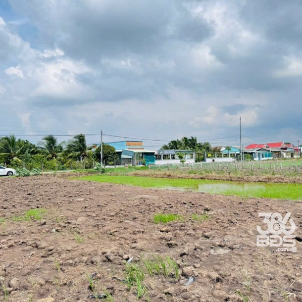 Bán 2 lô thổ cư mt đường Nguyễn Thị Lầu, xã Quê Mỹ Thạnh, Tân Trụ dt 199m2 giá 950 triệu 1 lô-6