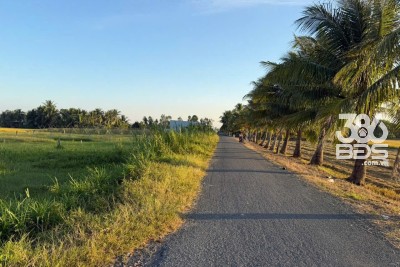 Bán đất lúa vuông vức đường rộng ở xã Mỹ Thạnh Đông , Đức Huệ tdt 1042m2 giá chốt 1,5 tỷ