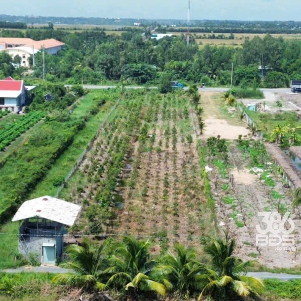 Bán đất mặt tiền tỉnh lộ 818 , xã Tân Thành, huyện Thủ Thừa dt 1926m2 ( có 1080m2 thổ ) giá 7,5 tỷ-5