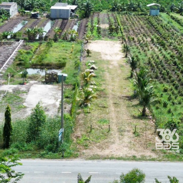 Bán đất mặt tiền tỉnh lộ 818 , xã Tân Thành, huyện Thủ Thừa dt 1926m2 ( có 1080m2 thổ ) giá 7,5 tỷ-6