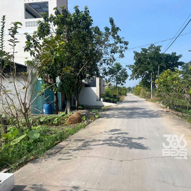 Bán đất thổ cư sau chợ Hòa Khánh Nam, đường beton 4m dt 100m2 giá 1 tỷ-3