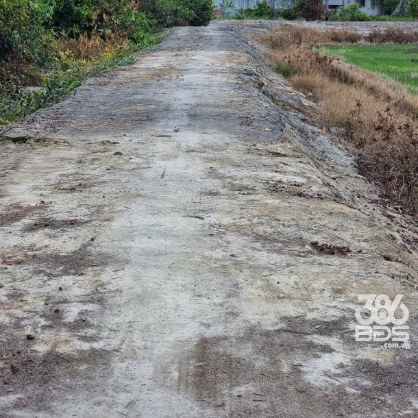 Bán đất mt sông Vàm Cỏ Đông xã Hòa Khánh Nam tdt 9000m2 ( có 185m2 thổ) giá 12,5 tỷ-1