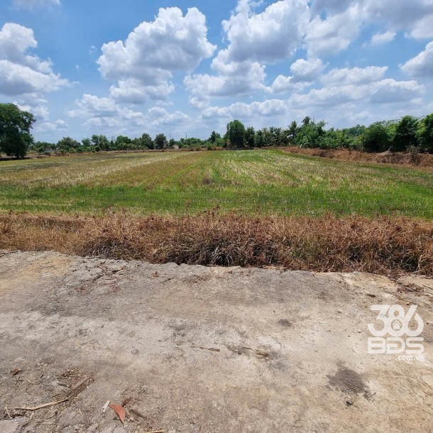 Bán đất mt sông Vàm Cỏ Đông xã Hòa Khánh Nam tdt 9000m2 ( có 185m2 thổ) giá 12,5 tỷ-3