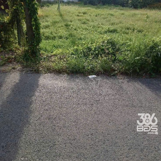 Bán đất thổ cư mặt tiền đường Xóm Tháp, xã Đức Lập Thượng dt 150m2 giá 1,45 tỷ-4