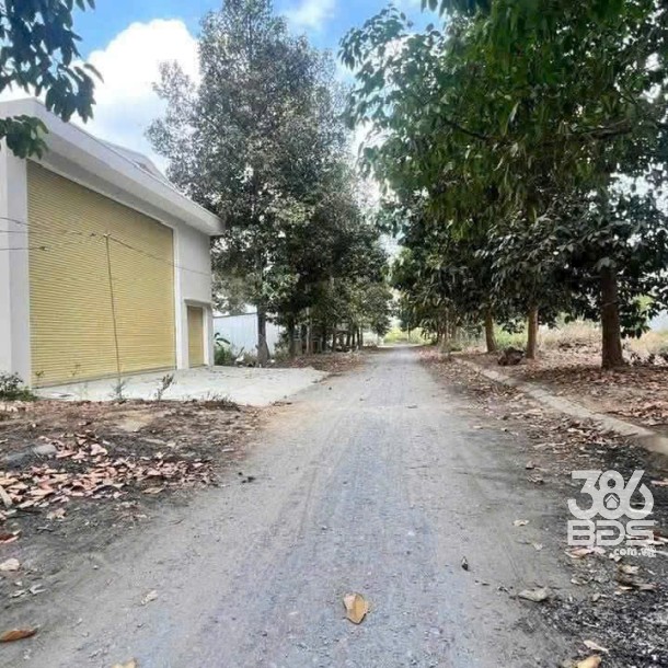 Bán nền thổ cư đường số 7, KDC 135 , thị trấn Bến Lức dt 144m2 giá giảm còn 3 tỷ-2