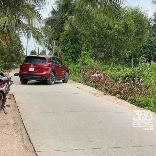 Bán đất thổ vườn Liên Ấp 5/6 , xã Bình Đức , Bến Lức tdt 1376m2 ( có 100m2 thổ) giá 2,65 tỷ-1