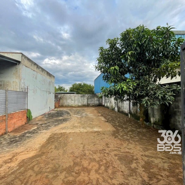 Bán đất thổ cư mt đường nhựa ĐH7 , xã Nhị Thành, Thủ Thừa dt 153m2 giá 1,75 tỷ-2