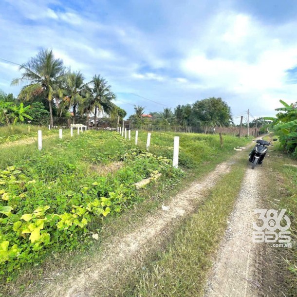 Bán nền thổ cư đường đá xanh 3,5m , xã Quê Mỹ Thạnh , Tân Trụ dt 123m2 giá 380 triệu-1